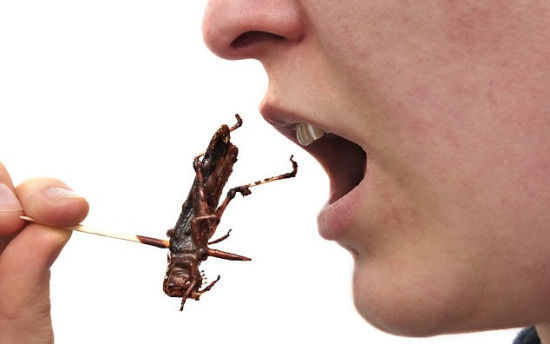 ͼƬһҳ