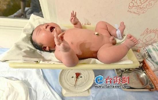 厦35岁高龄产妇产下11斤男婴 厦35岁高龄产妇产下11斤男婴