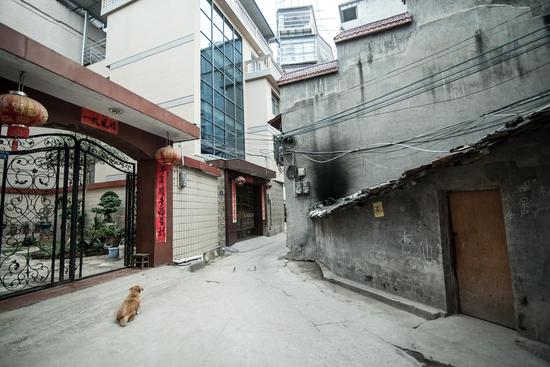 右下角搭建在寺庙边的上一隅就是杨龙辉家的房子,和周围的“豪宅”格格不入